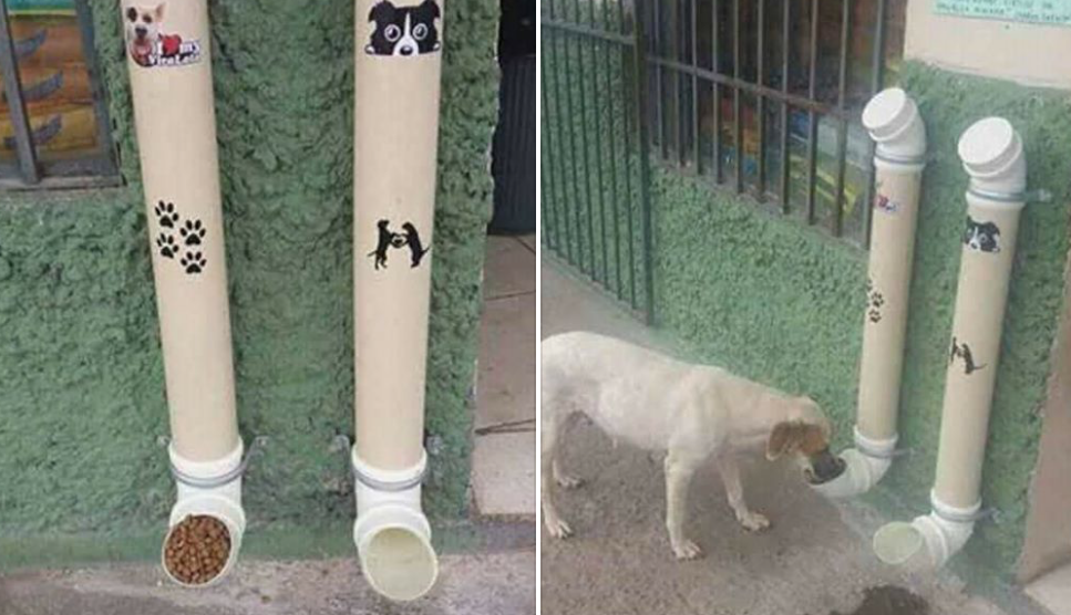 Imagen de uso público, fase planeacion.