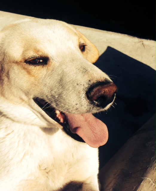 Rehabilitación médica.